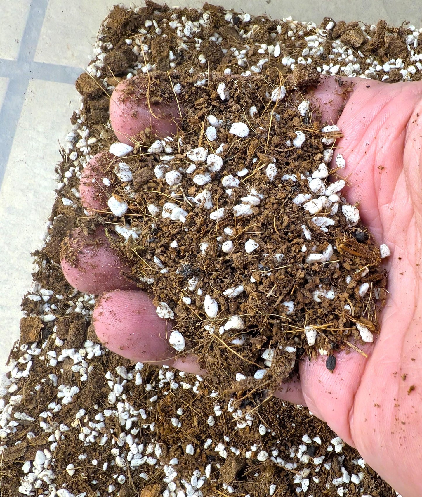Premium Coco Coir Soil Amendment | Plant Substrate for 4″ Pots | Tomoka Farms