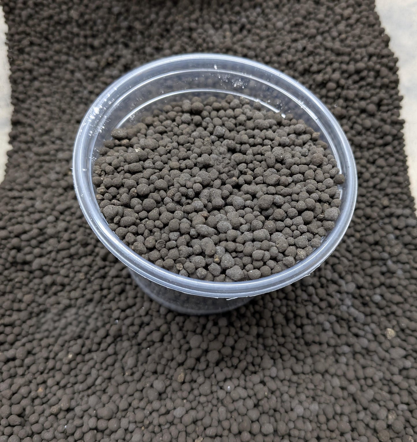 Tissue Culture Acclimation Kit | 40 Cell Seed Starter Tray