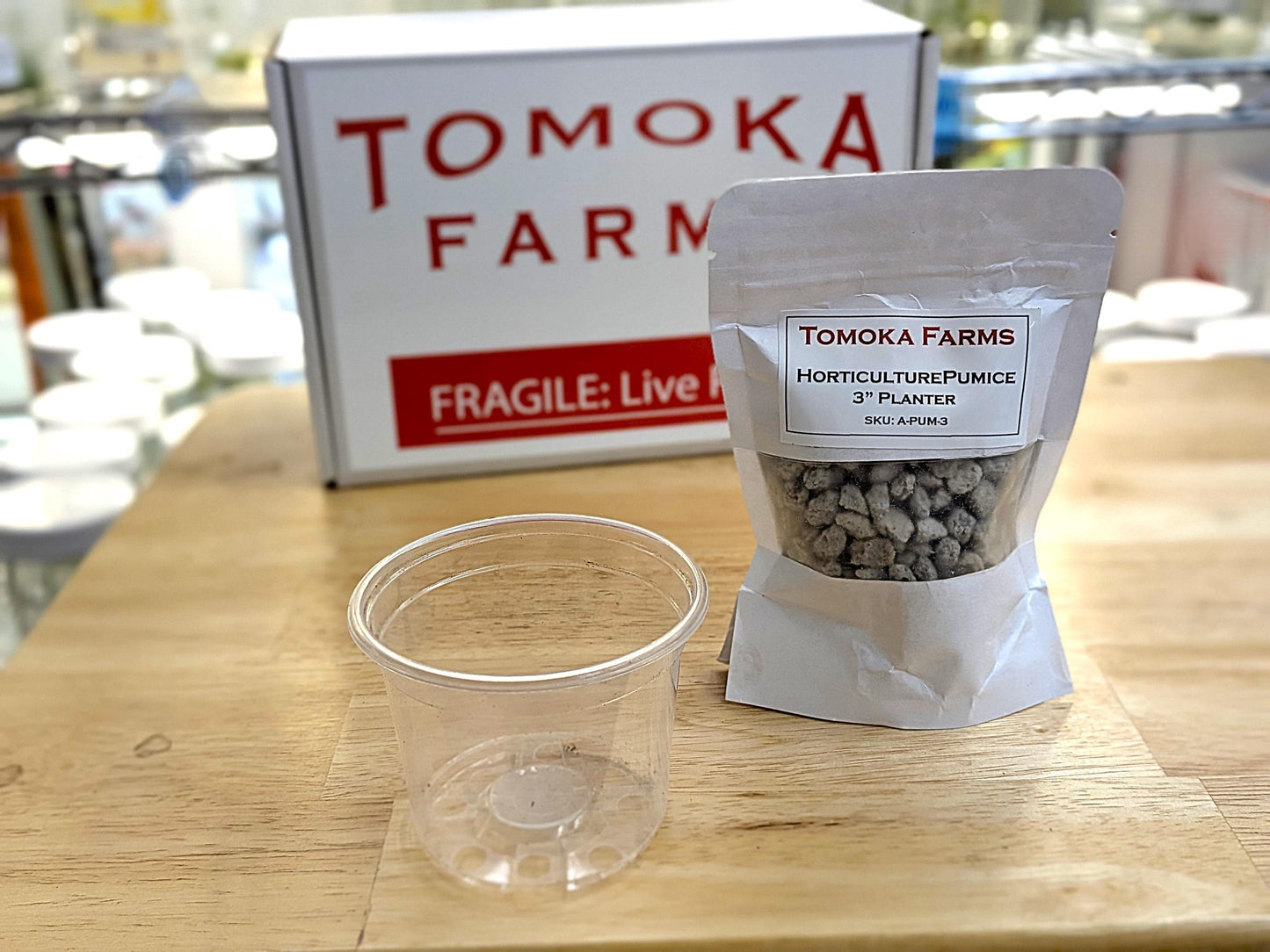 Premium Pumice | 3″ Pot Fill Aeration | Tomoka Farms