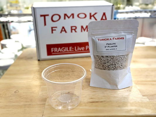 Coarse Perlite | 3″ Pot Fill Aeration | Tomoka Farms
