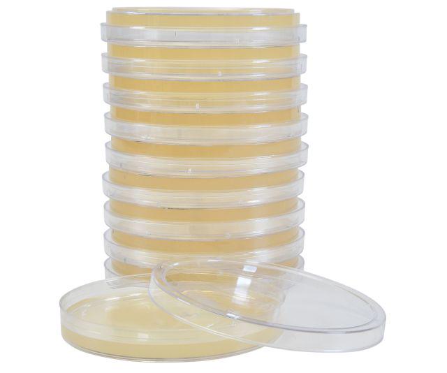Sterile Agar Plates — 90 mm | Mushroom Supply | Tomoka Farms