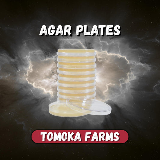 Sterile Agar Plates — 90 mm | Mushroom Supply | Tomoka Farms