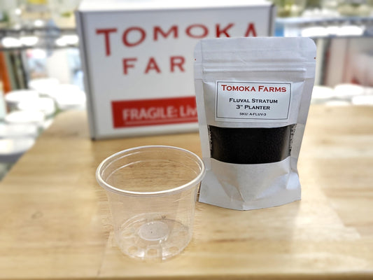 Tissue Culture Acclimation Kit | Fluval Stratum Media