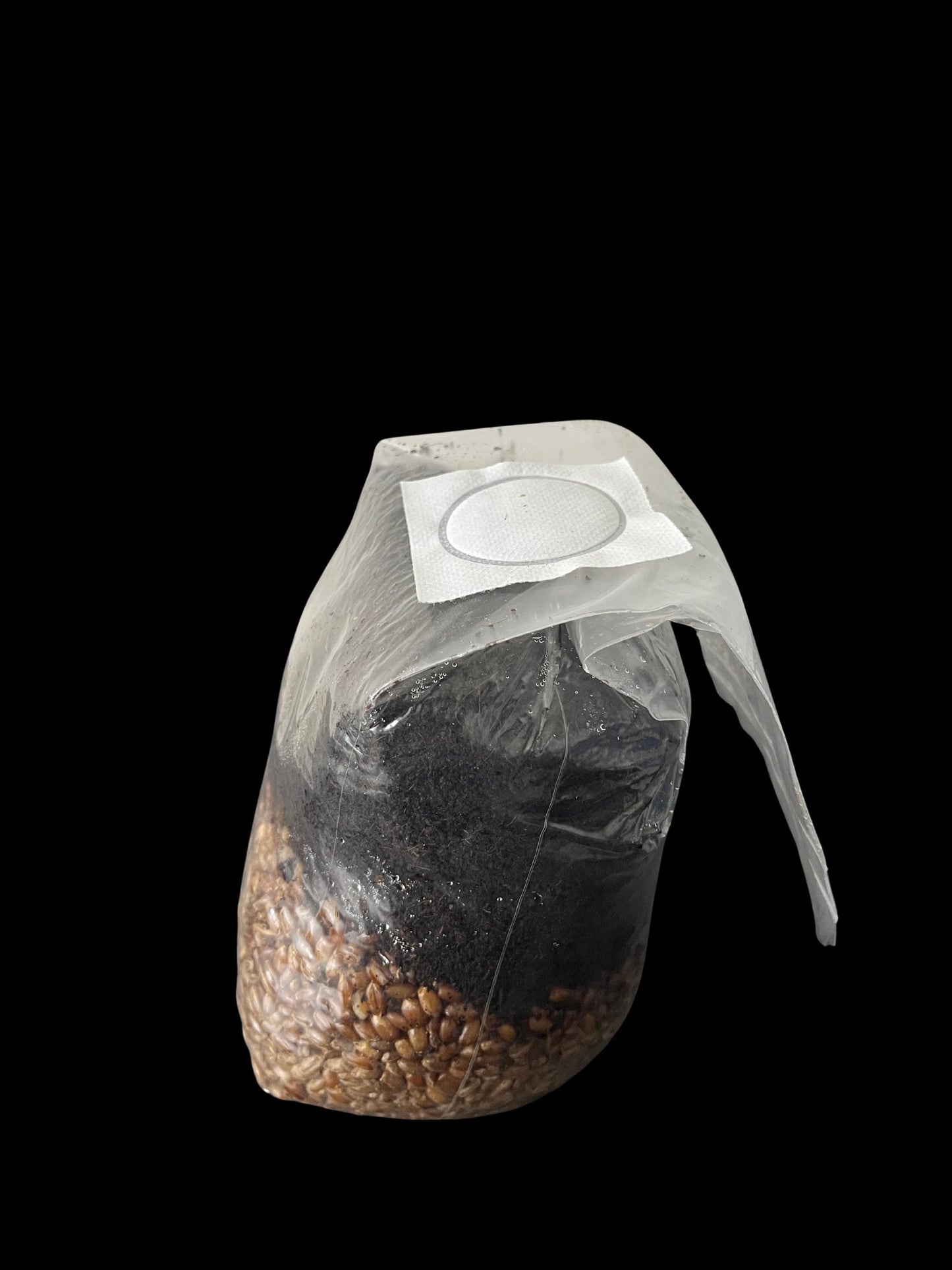 All-in-One Mushroom Grow Bag | 2.5 lb | Tomoka Farms