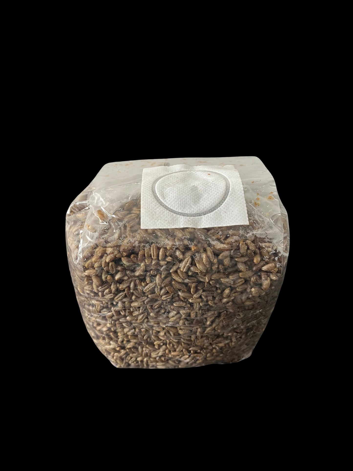 Sterile Rye Grain Bag | 2.5 lb | Tomoka Farms