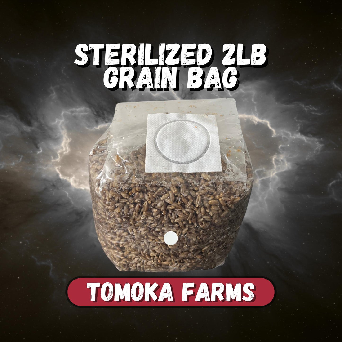 Sterile Rye Grain Bag | 2.5 lb | Tomoka Farms