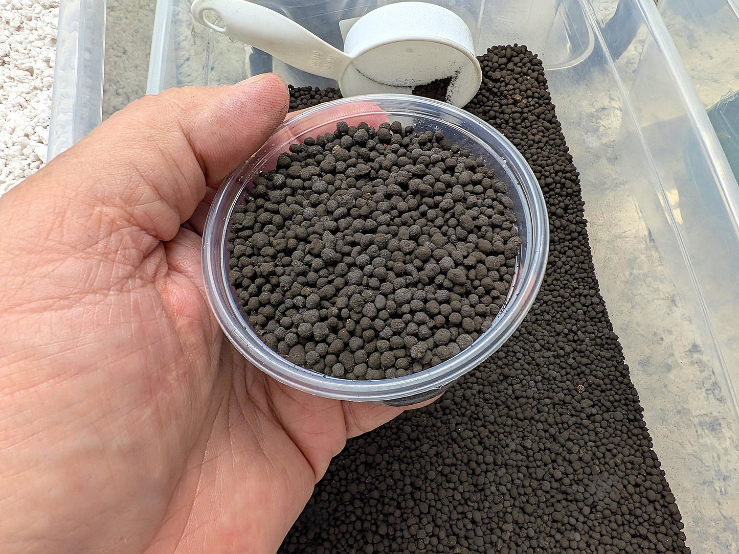 Tissue Culture Acclimation Kit | Fluval Stratum Media