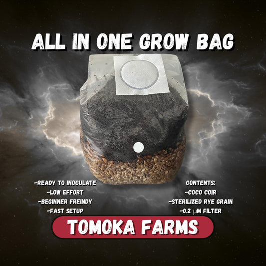 All-in-One Mushroom Grow Bag | 2.5 lb | Tomoka Farms