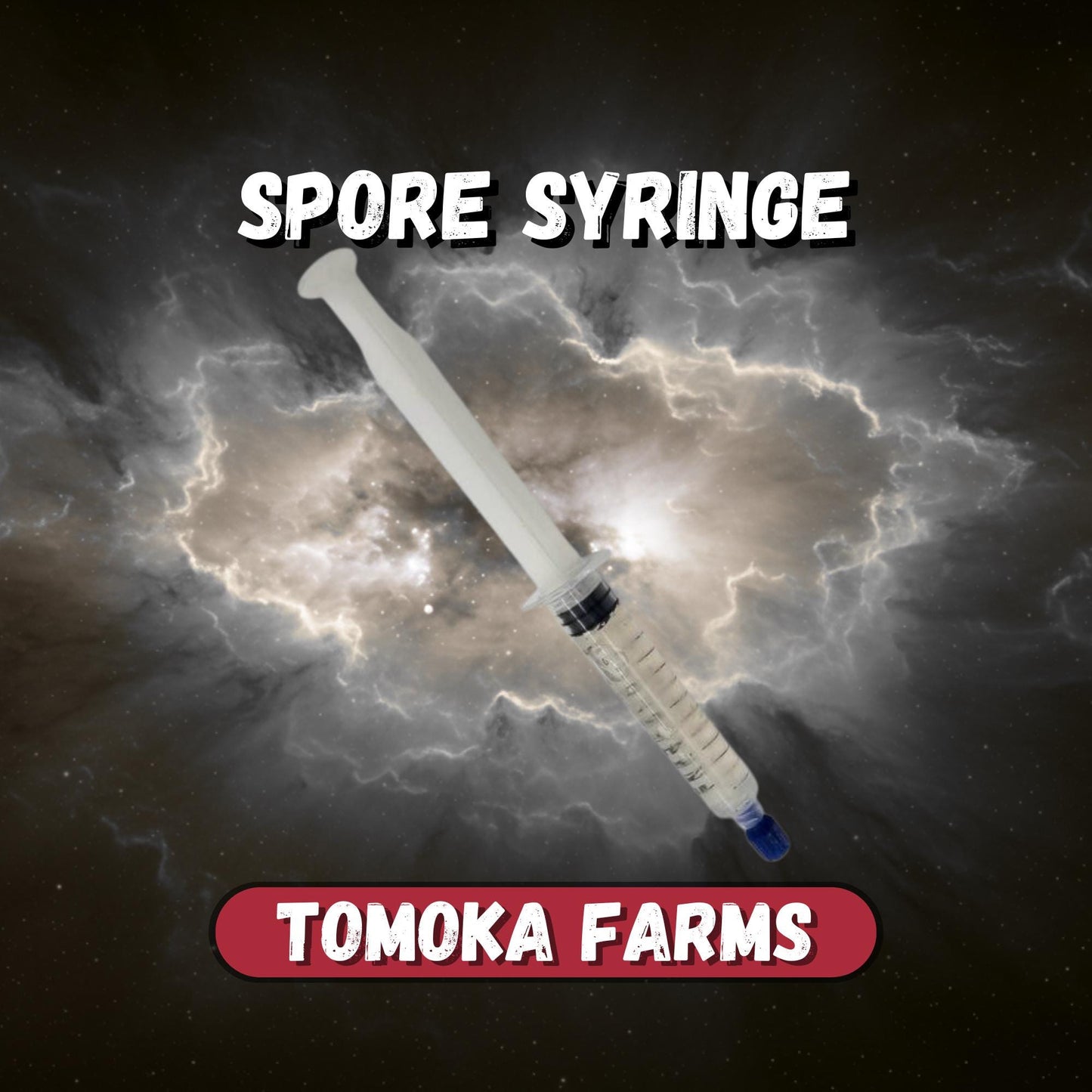 Mushroom Spore Syringe — Sterile 10 mL | Gourmet Species Options | Tomoka Farms