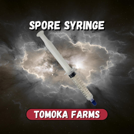 Mushroom Spore Syringe — Sterile 10 mL | Gourmet Species Options | Tomoka Farms