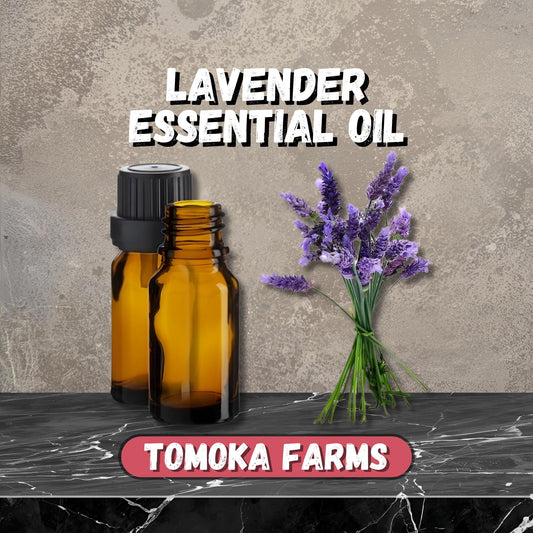 Lavender Essential Oil | 10 mL | Tomoka Farms