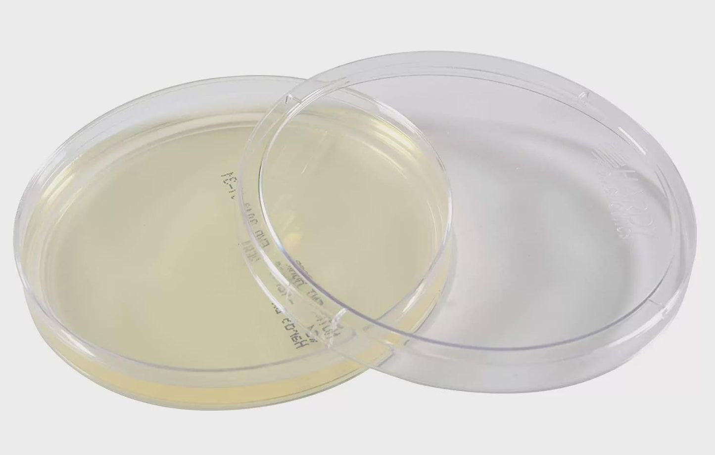 Sterile Agar Plates — 90 mm | Mushroom Supply | Tomoka Farms