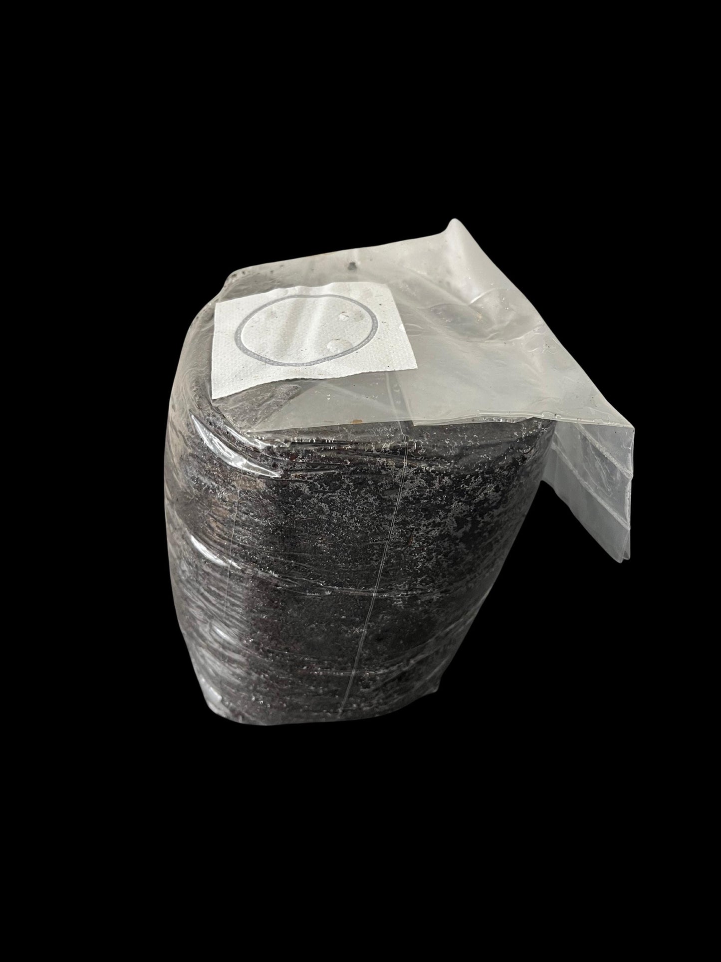 Coco Coir Mushroom Substrate | 2.5 lb Sterile Bag | Tomoka Farms
