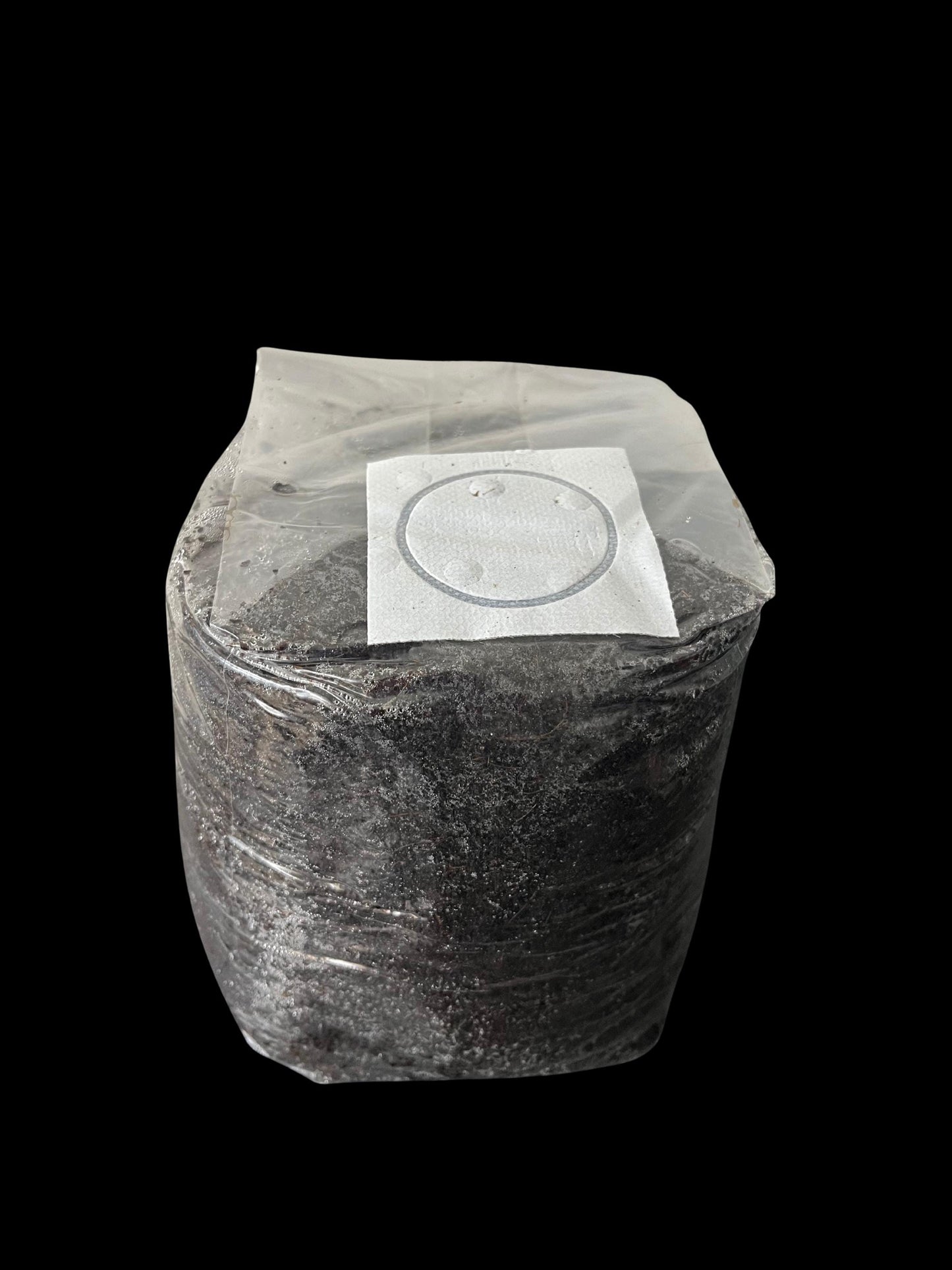 Coco Coir Mushroom Substrate | 2.5 lb Sterile Bag | Tomoka Farms