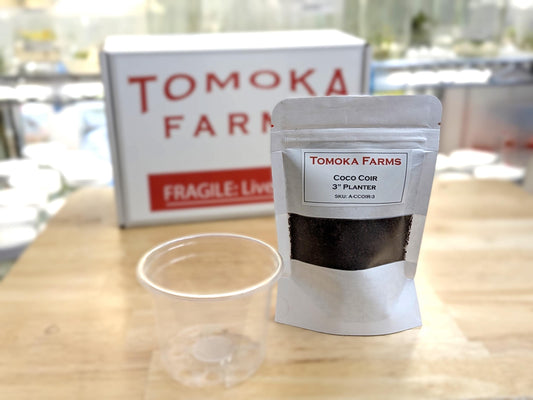 Coco Coir Media | Pre-Hydrated 3″ Pot Fill | Tomoka Farms