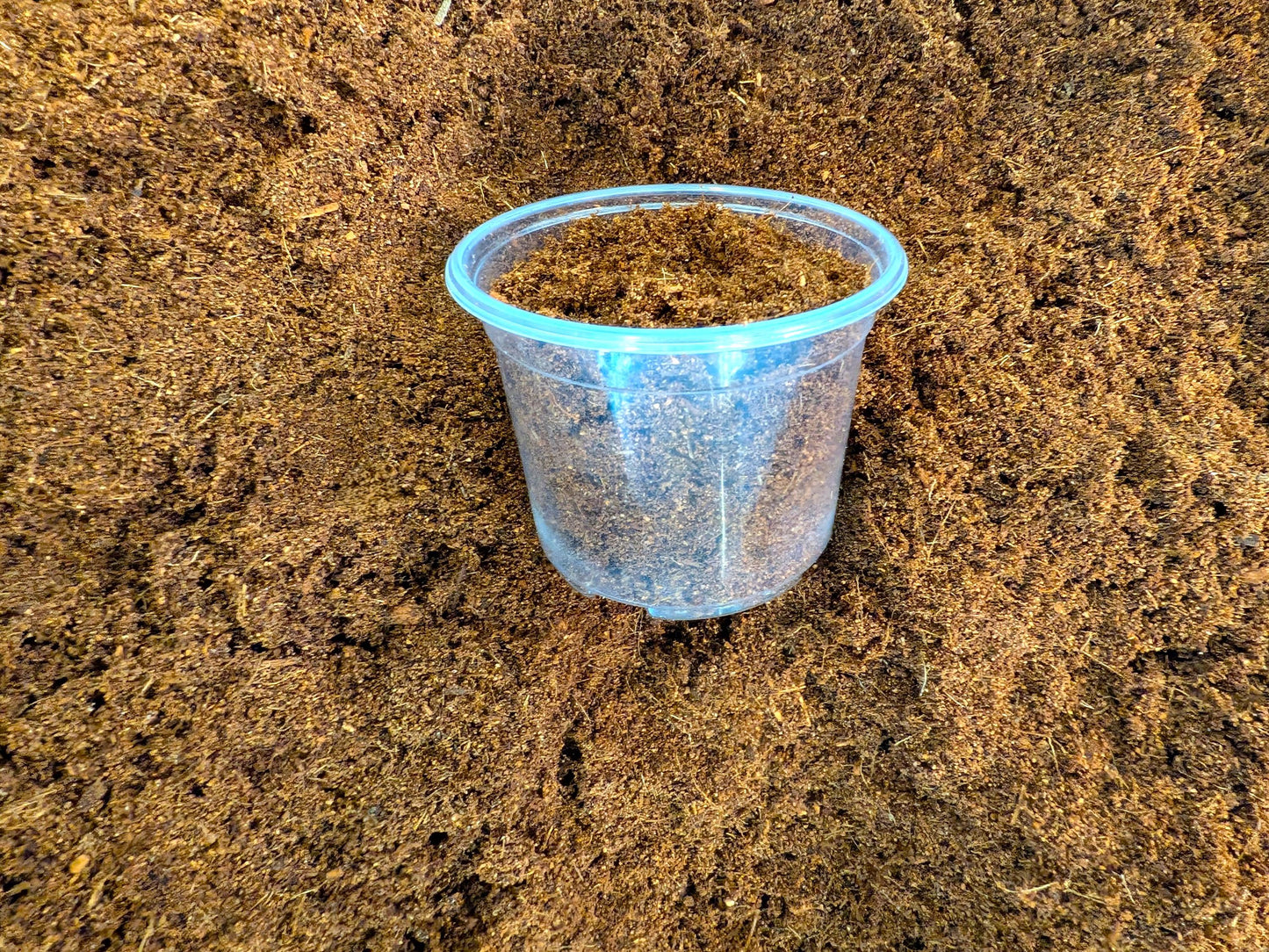 Coco Coir Media | Pre-Hydrated 3″ Pot Fill | Tomoka Farms