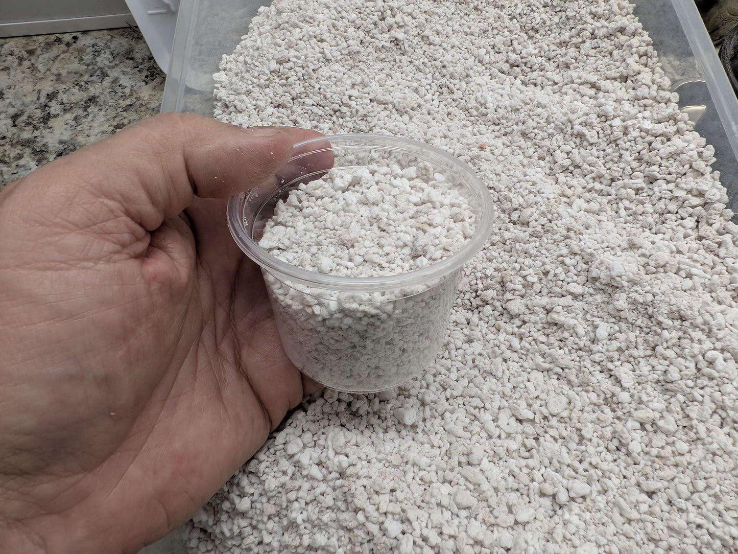 Coarse Perlite | 3″ Pot Fill Aeration | Tomoka Farms