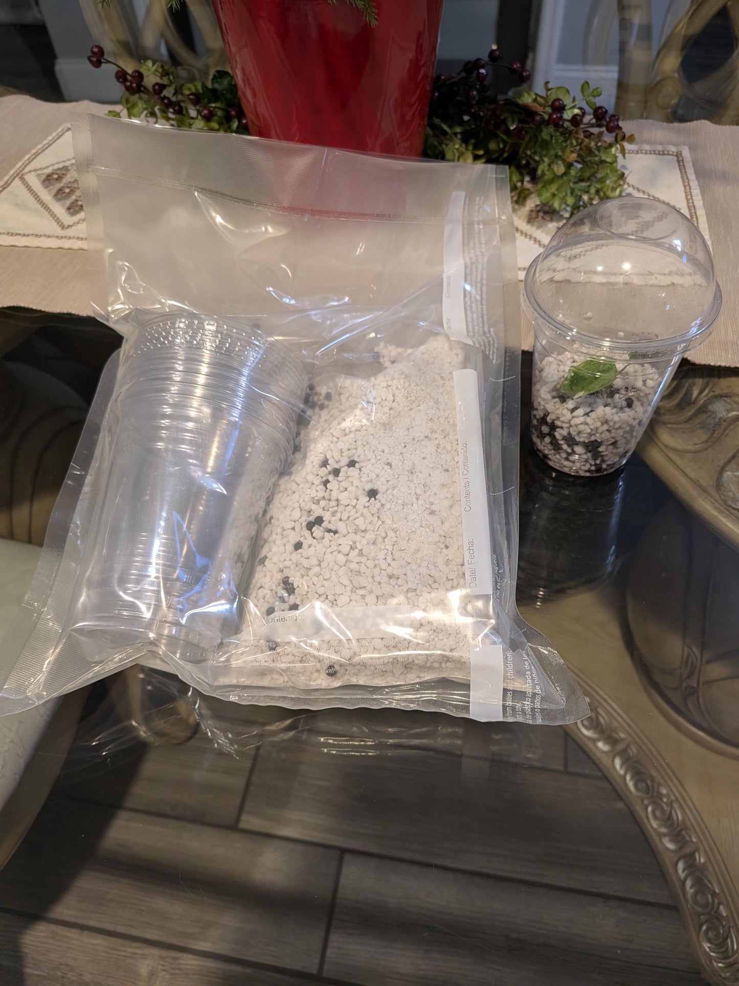 Tissue Culture Plant Acclimation Kit | Perlite/Stratum Blend (Parfait Cups) | Tomoka Farms