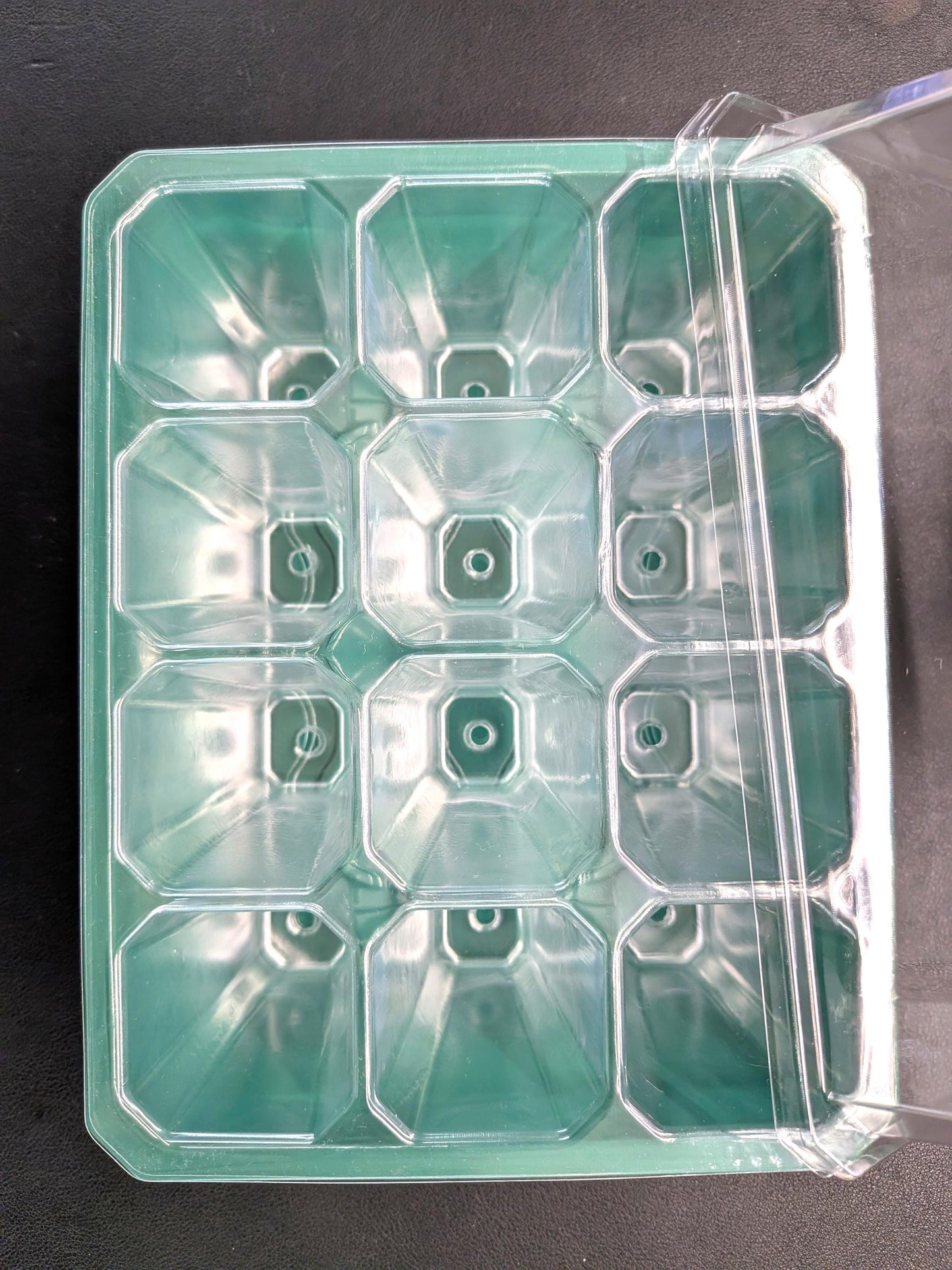 12-Cell Plant Tissue Culture Acclimation Kit | Seed Starter Tray | Tomoka Farms