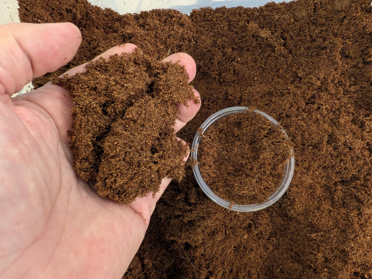 Coco Coir Media | Pre-Hydrated 3″ Pot Fill | Tomoka Farms